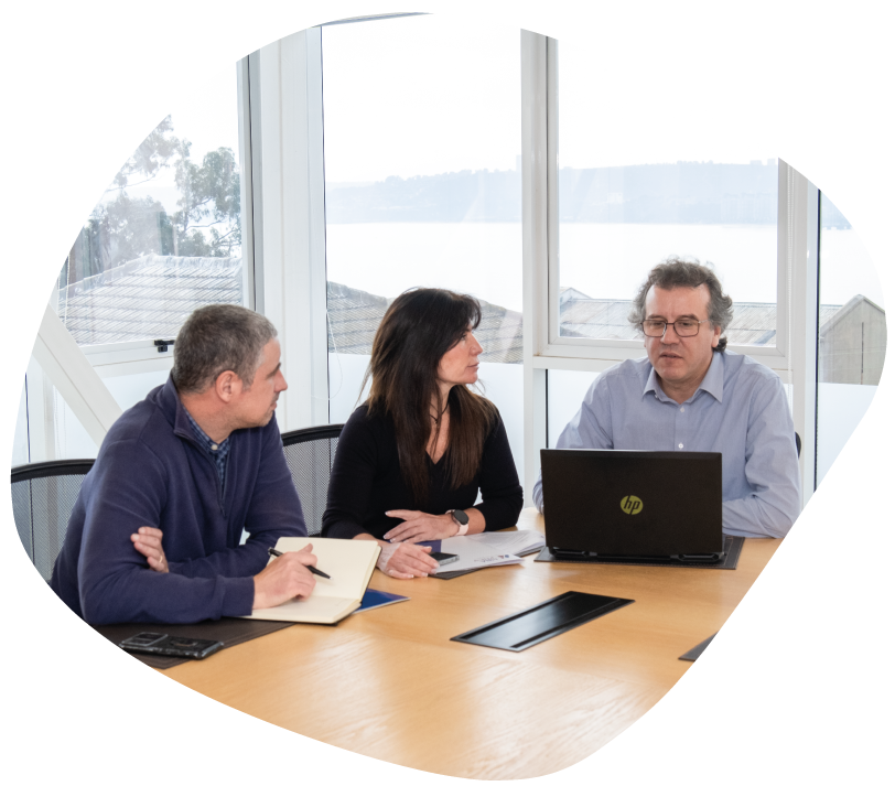 Consultoría y asistencia técnica